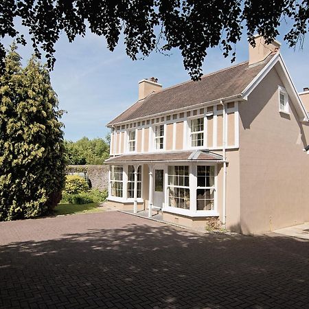 Copper Beech Cottage Henfynyw Upper Bagian luar foto